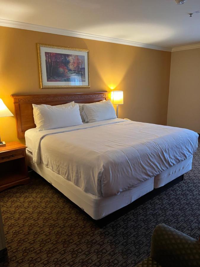 Hotel Xola Moreno Valley Ngoại thất bức ảnh